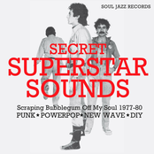 SECRET SUPERSTAR SOUNDS: Scraping Bubblegum Off My Soul 1977-80: Punk • Powerpop • New Wave • DIY