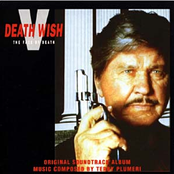 Death Wish V: The Face Of Death
