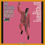 The Exciting Wilson Pickett