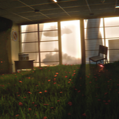 the angle of my falling