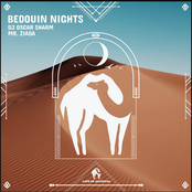 Bedouin Nights