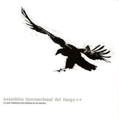 Albatros by Asamblea Internacional Del Fuego