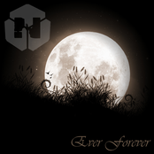 Ever Forever