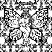 Psicodeliamorsexo&distorção