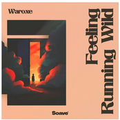 Feeling Running Wild