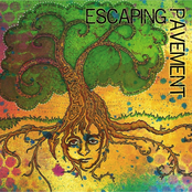 Escaping Pavement: Uprooted