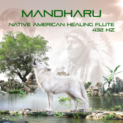 Native American Healing Flute
