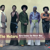 Heartaches by Art Neville & The Meters