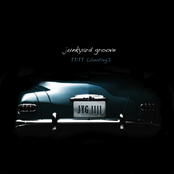 Been So Long by Junkyard Groove