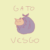 Gato Vesgo (Live)