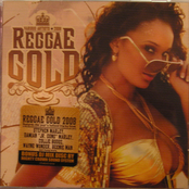 Reggae Gold 2008