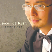 Pieces Of Rain - Terence Koo