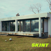Skint