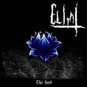The Seed