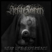 Near Life Experience