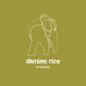 Damien Rice: B-Sides