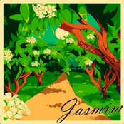 Jasmim