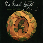Un Mundo Fragil