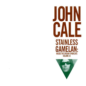 Stainless Gamelan: Inside the Dream Syndicate, Volume III