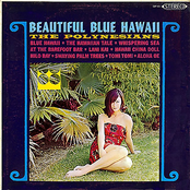 Beautiful Blue Hawaii