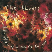 The Throes: All the Flowers Growing in Your Mother's Eyes