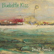 Little Black Dahlias by Bluebottle Kiss