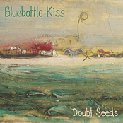 Dream Audit by Bluebottle Kiss