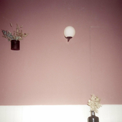 Never Could Be Any Other Way