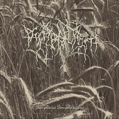 Simplicius Simplicissimus