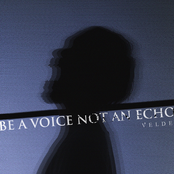 BE A VOICE NOT AN ECHO
