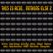 This Is Acid... Nothing Else 2
