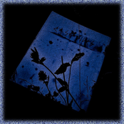 Case Files