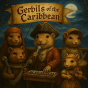 Gerbils of the Caribbean