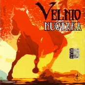 velnio nuotaka