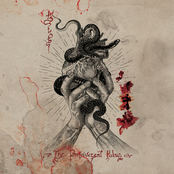 The Omniversal Pulse