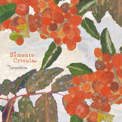 Semente Crioula