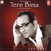 tere bina