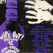 Wipe Out! Presents 12 Raw Greek Groups