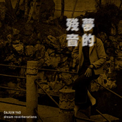 Dream Reverberations