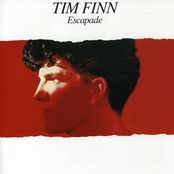 Wait And See by Tim Finn