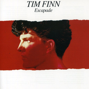 Below The Belt by Tim Finn