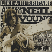 Like a Hurricane: A Tribute to Neil Young