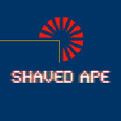 SHAVED APE