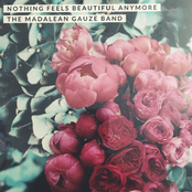 Nothing Feels Beautiful Anymore