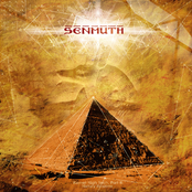 Serapeum Sarcophagus by Senmuth
