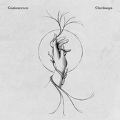 Coalescence