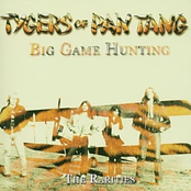 Don't Give A Damn by Tygers Of Pan Tang