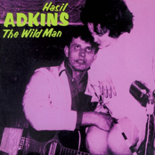 Wild Wild Friday Night by Hasil Adkins