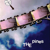 The Pines