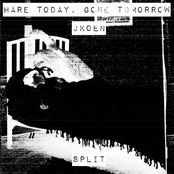 Hare Today, Gone Tomorrow / Jkoen Split